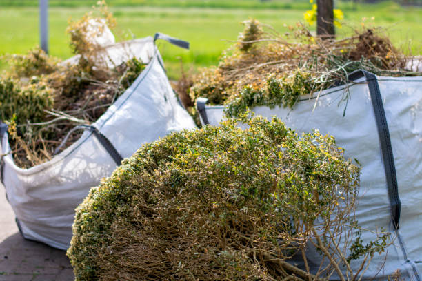 Best Hoarding Cleanup  in Modesto, CA